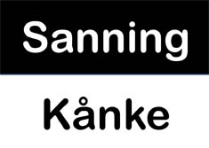 PowerPoint-presentation