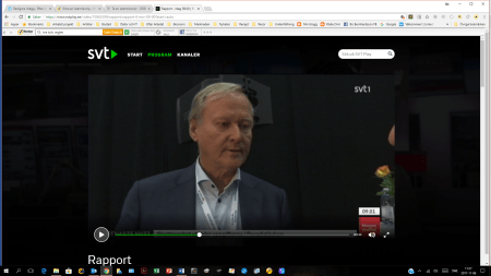 Leif Östling. Skärmdump Rapport 20171106